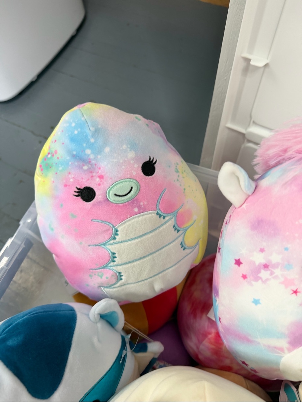 Squishmallows - Picture 7 of 7